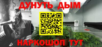 прущие грибы Кимры