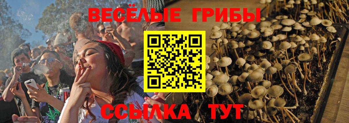 Галлюциногенные грибы GOLDEN TEACHER Бутурлиновка
